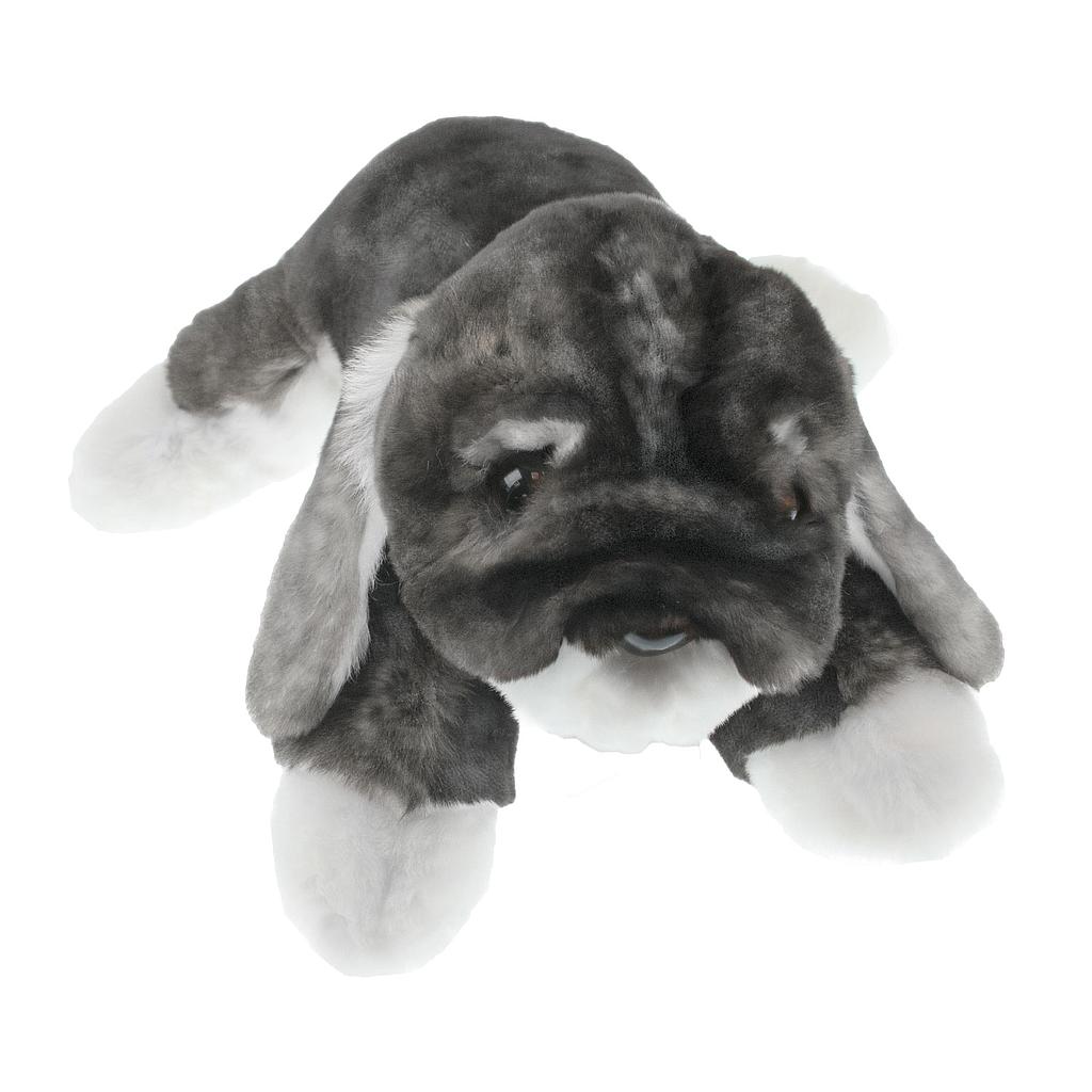 CHIEN DORMEUR
